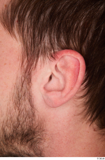 Street  875 ear 0001.jpg